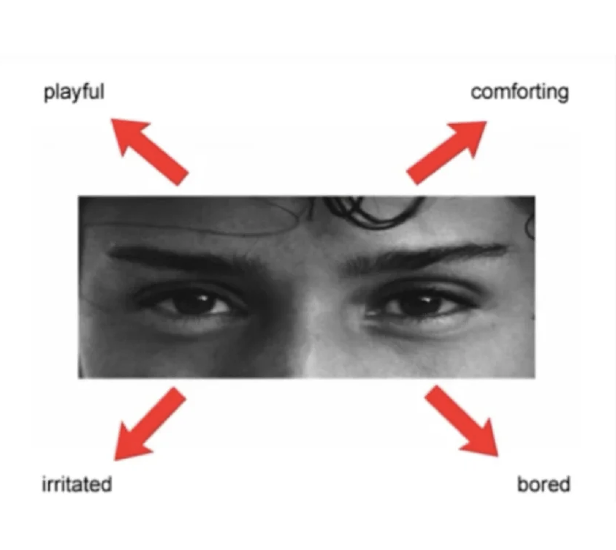 Social Intelligence Test